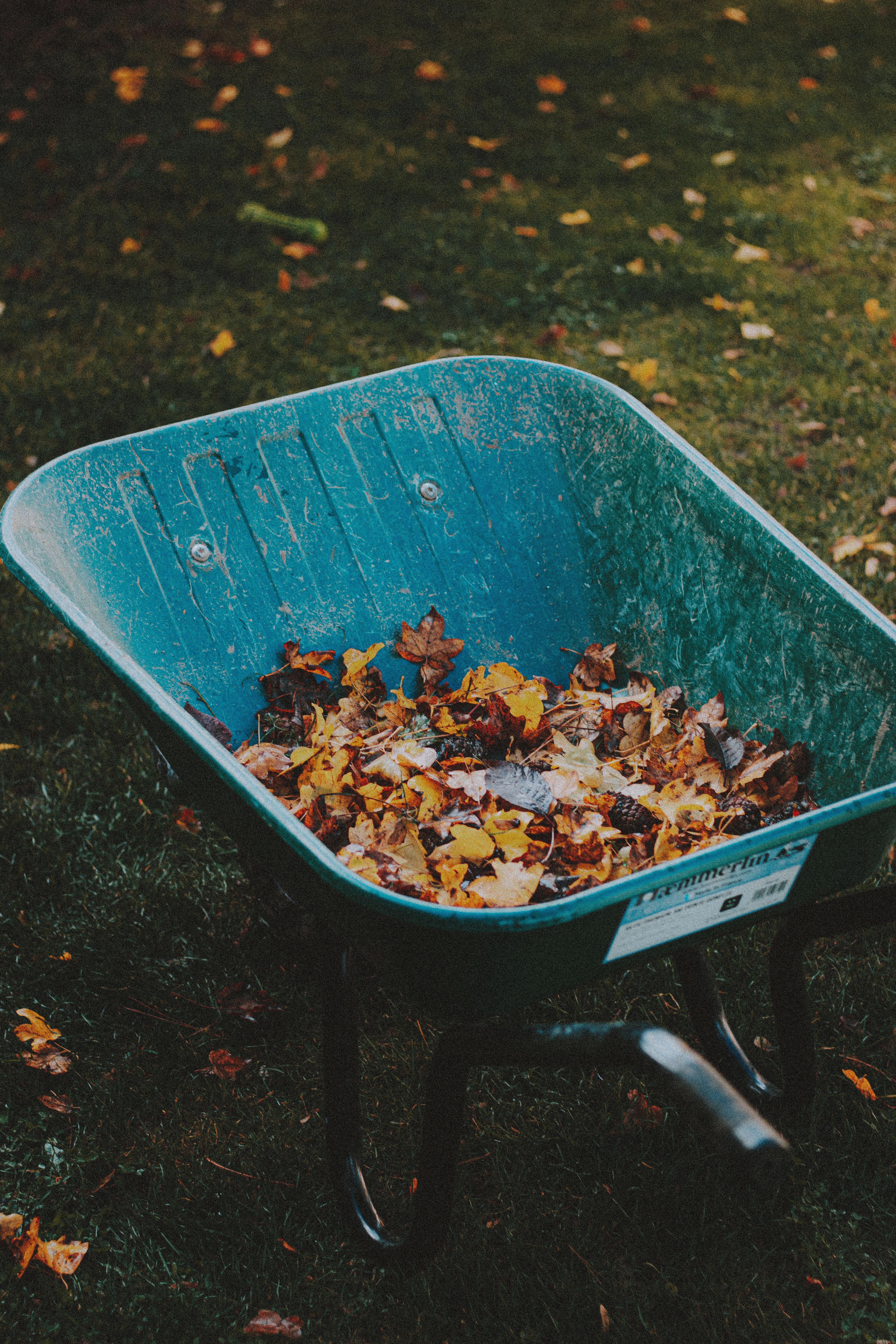 10 Fall Gardening Finds That Make Preparing for Winter Easier